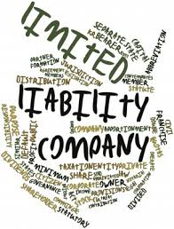 liability limited company companies advantages act florida ireland disadvantages register corporation maybe llc setting