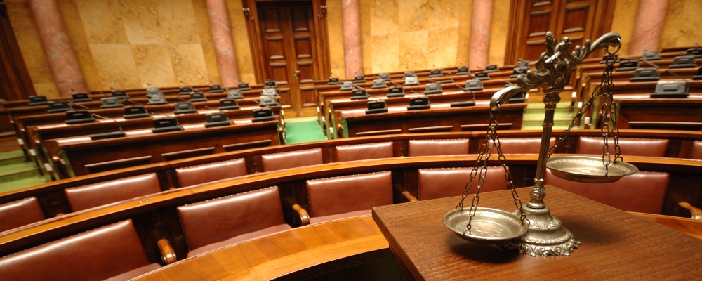 parties in legal proceedings